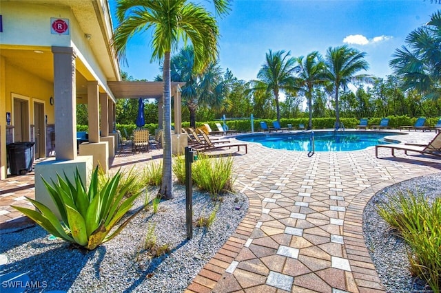 view of swimming pool with a patio