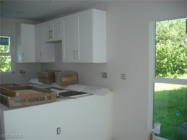 kitchen with white cabinetry and a wealth of natural light