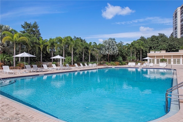 view of pool featuring a patio