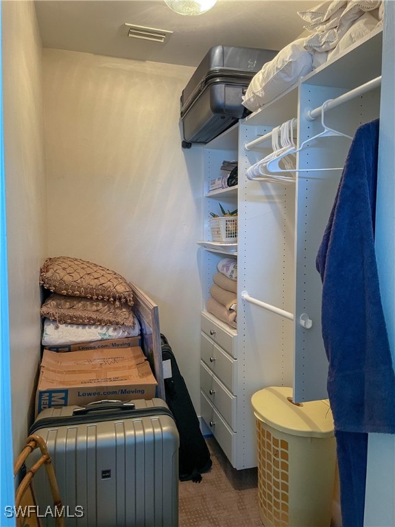 spacious closet featuring carpet flooring