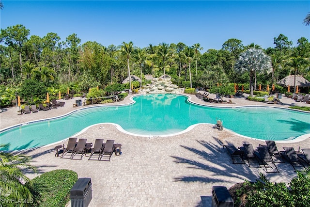 view of swimming pool featuring a patio