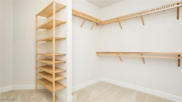 7788 Winding Cypress Dr, Naples, FL 34114 - spacious closet with carpet flooring