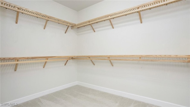 7788 Winding Cypress Dr, Naples, FL 34114 - spacious closet with light colored carpet