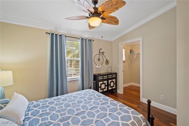 bedroom with a closet, a spacious closet, ornamental molding, dark hardwood / wood-style floors, and ceiling fan