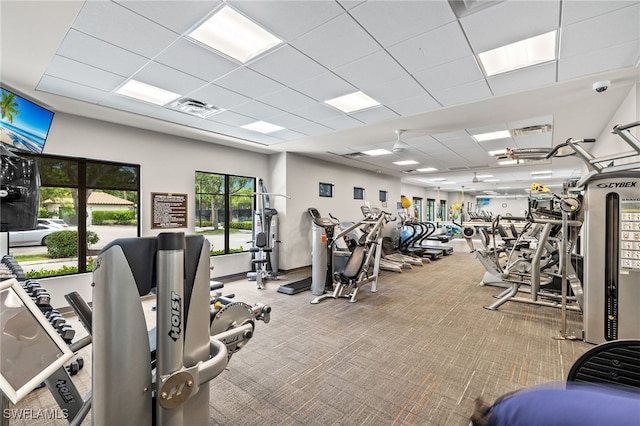 workout area with carpet and a drop ceiling