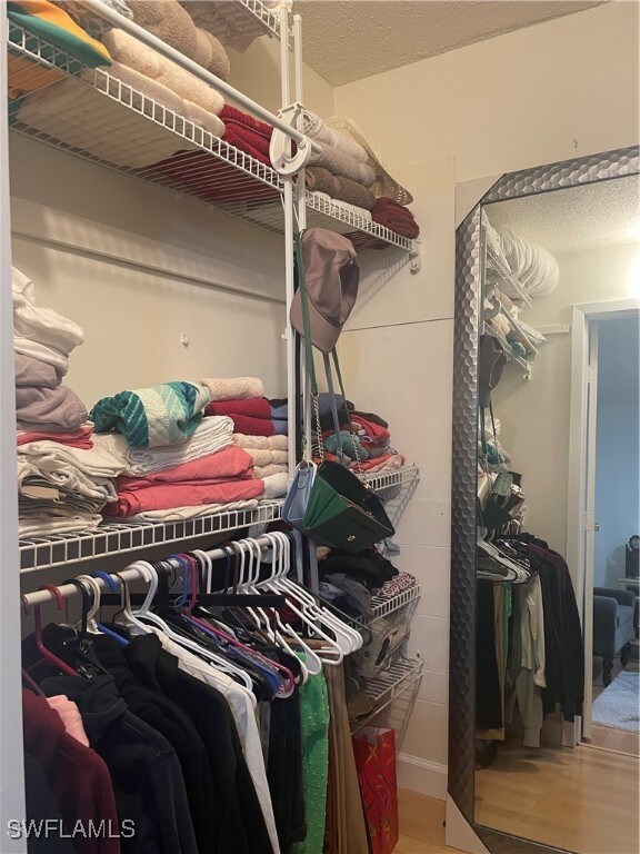 spacious closet with wood-type flooring