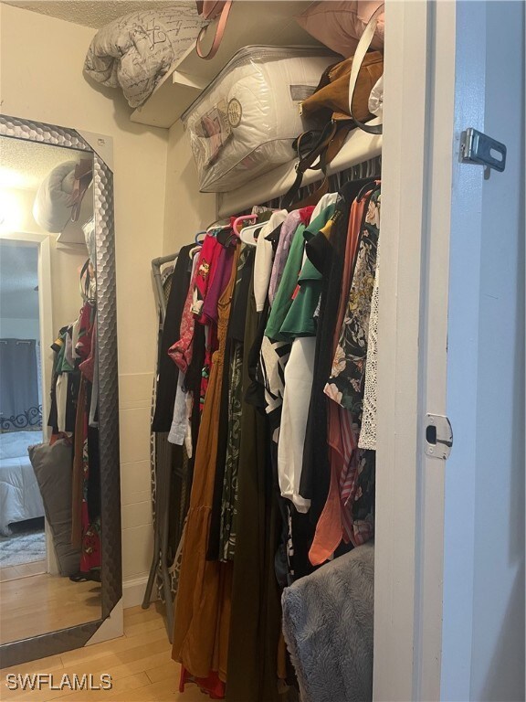 spacious closet with light wood-type flooring