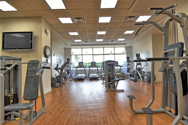 exercise room with hardwood / wood-style floors and a paneled ceiling