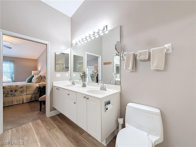 bathroom with vanity, hardwood / wood-style flooring, and toilet