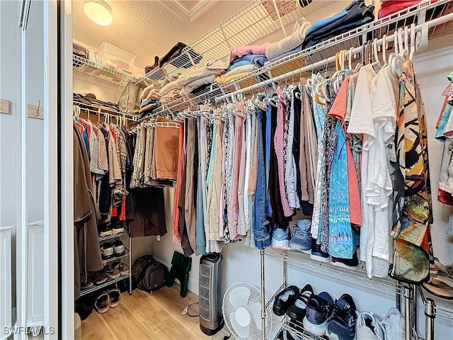 spacious closet with hardwood / wood-style floors