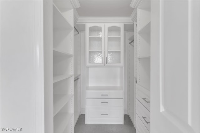 view of walk in closet