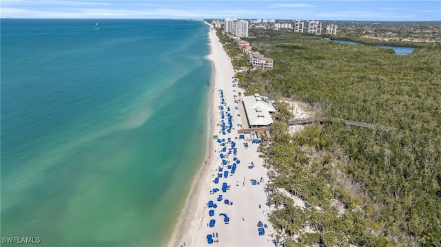 drone / aerial view featuring a water view and a view of the beach