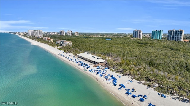 drone / aerial view with a water view and a view of the beach