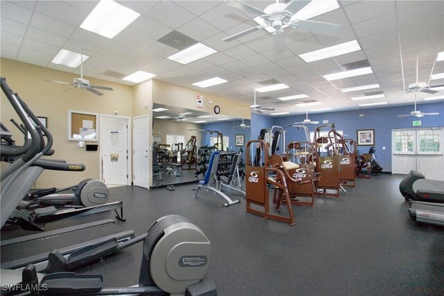 2876 Orange Grove Trl, Naples, FL 34120 - exercise room with a ceiling fan and a paneled ceiling