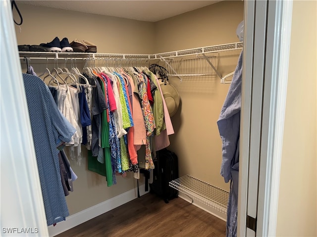 walk in closet featuring hardwood / wood-style floors