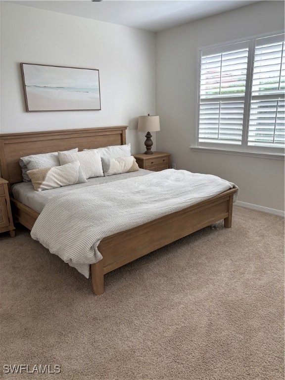 bedroom with carpet flooring