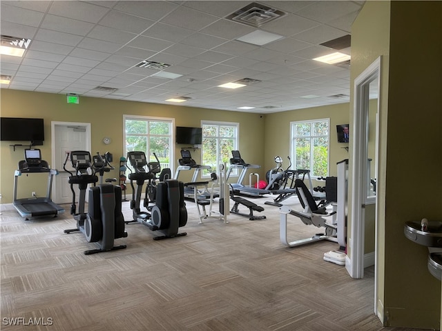 workout area with plenty of natural light, light carpet, and a drop ceiling