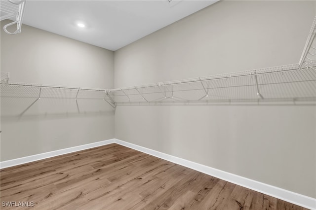 walk in closet with hardwood / wood-style floors