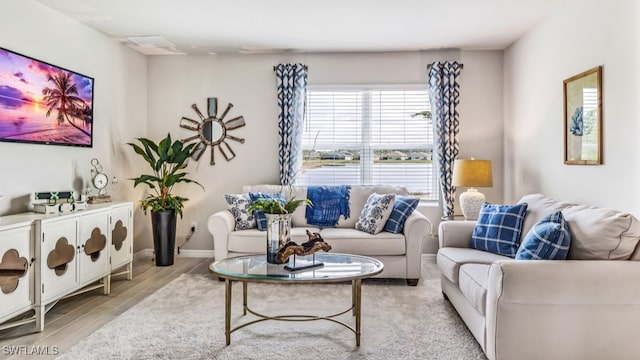 living room featuring light hardwood / wood-style floors