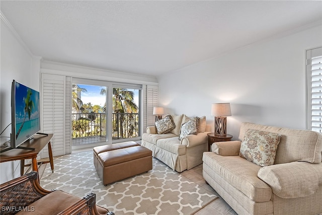 living room featuring crown molding