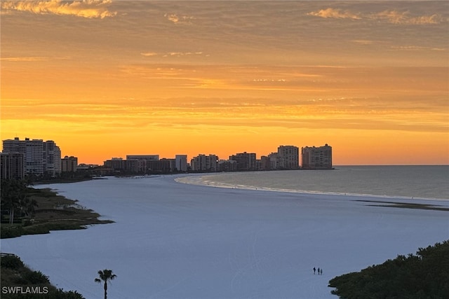 property view of water featuring a beach view