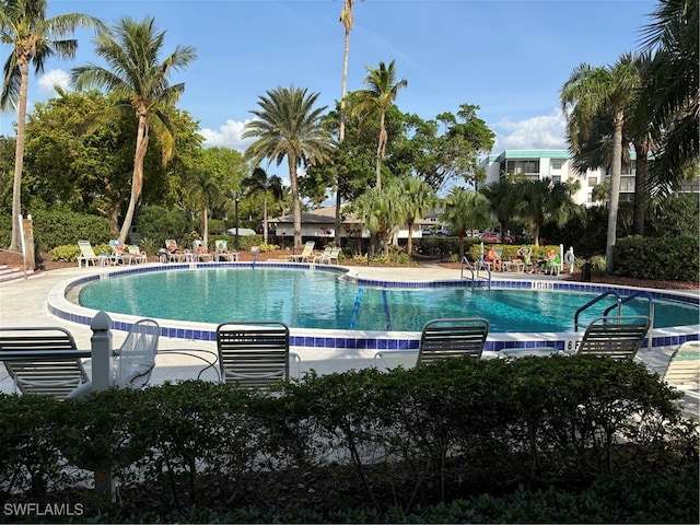 view of swimming pool