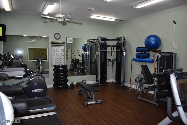 gym with dark hardwood / wood-style flooring and ceiling fan