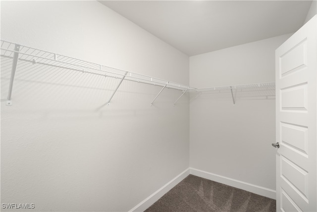 spacious closet with carpet flooring