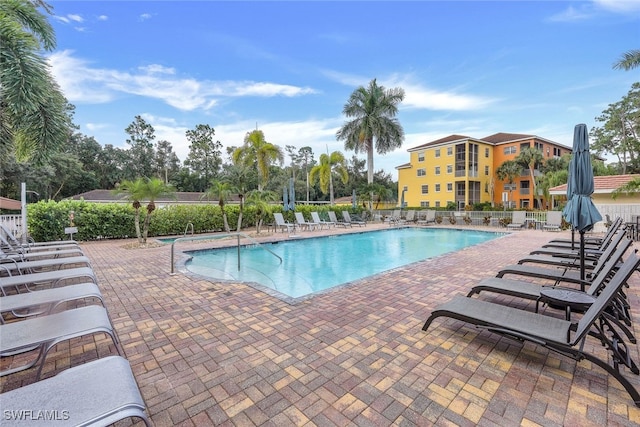 view of pool with a patio area