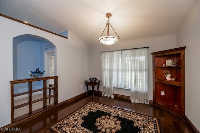 sitting room with dark wood-type flooring