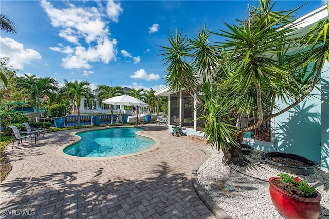 view of swimming pool with a patio area and a sunroom