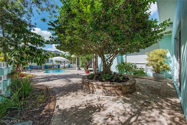 view of pool featuring a patio