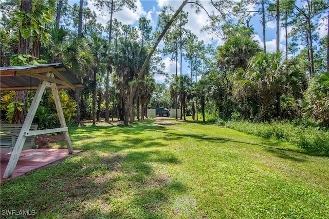 view of yard featuring a storage shed