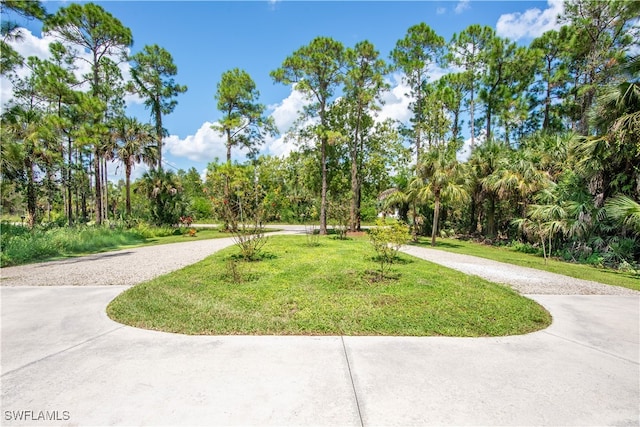 view of community with a yard