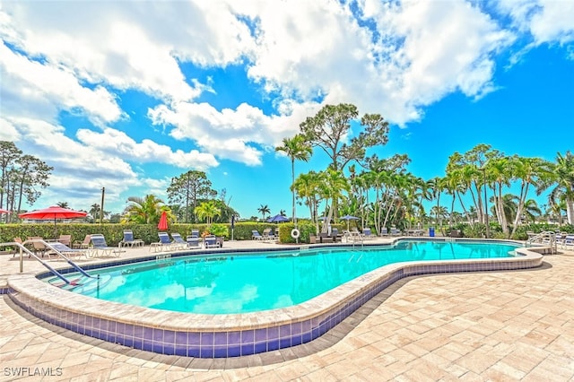 view of pool featuring a patio