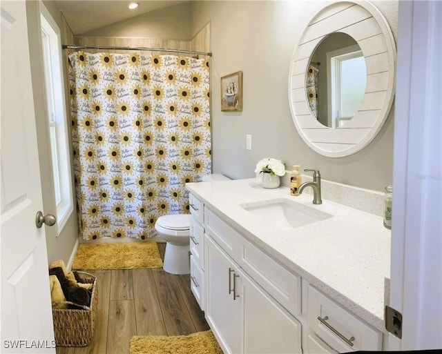 bathroom featuring vanity, hardwood / wood-style flooring, toilet, and a shower with curtain