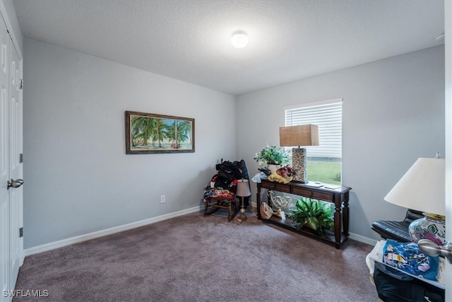 sitting room with carpet flooring