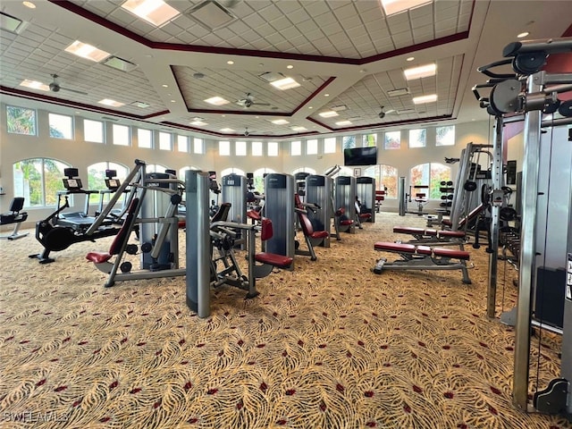 gym with carpet flooring and a towering ceiling