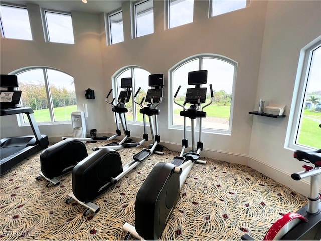 workout area with carpet floors