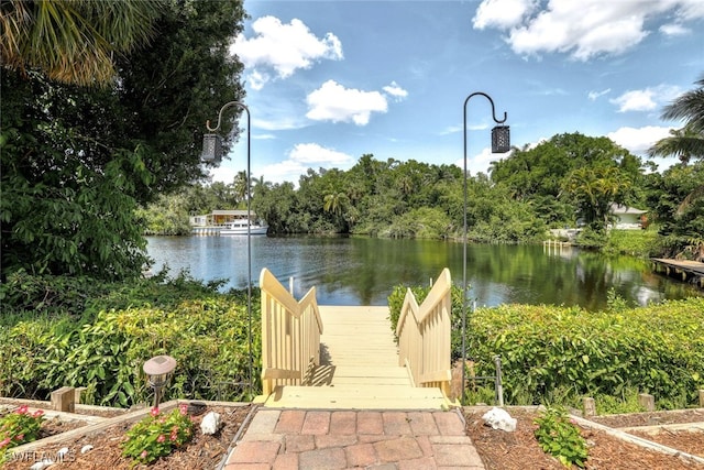 dock area with a water view