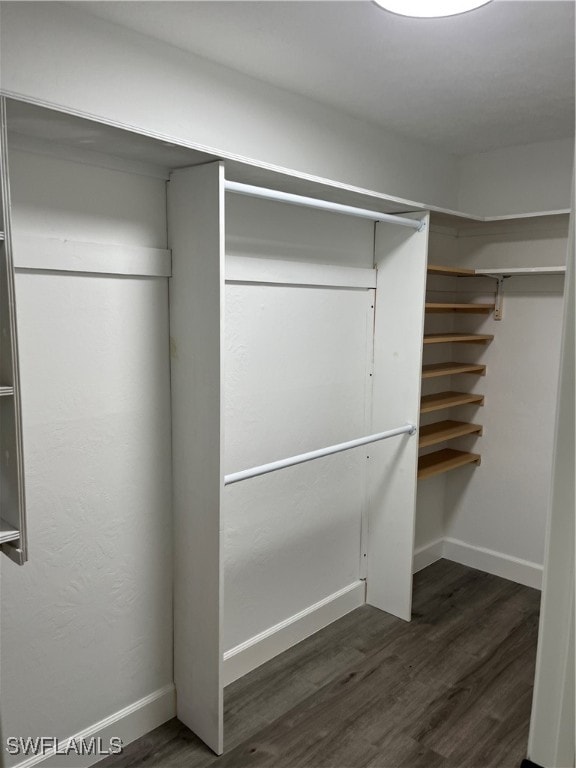 spacious closet with dark hardwood / wood-style flooring