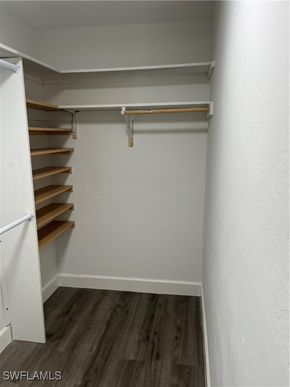 spacious closet featuring dark hardwood / wood-style flooring