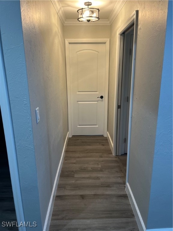 corridor featuring crown molding and dark wood-type flooring