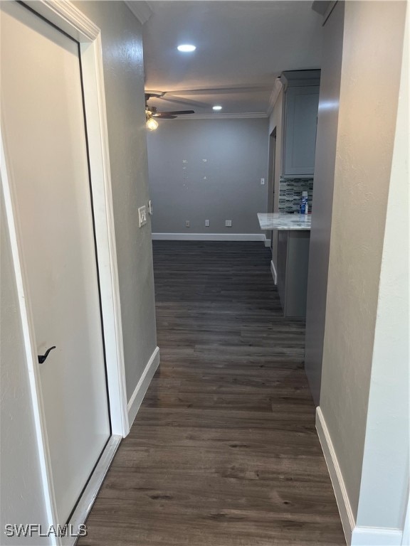 hallway featuring dark wood-type flooring