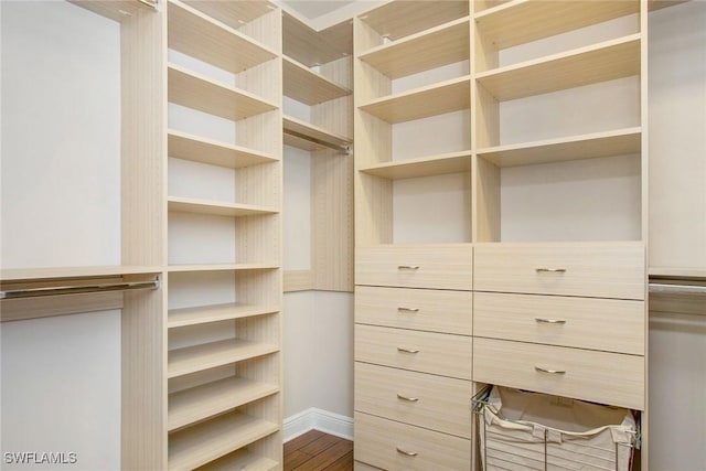 walk in closet featuring wood finished floors