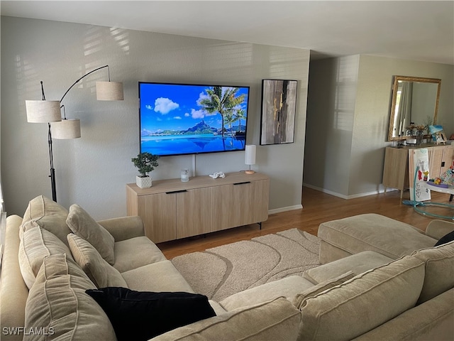 living room with light wood-type flooring