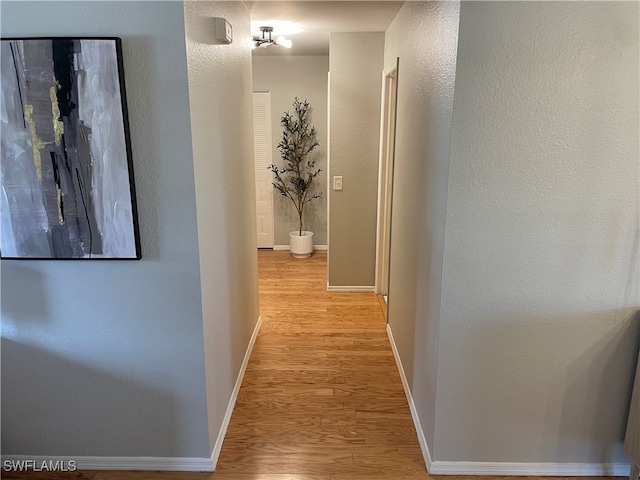 hall featuring light hardwood / wood-style floors