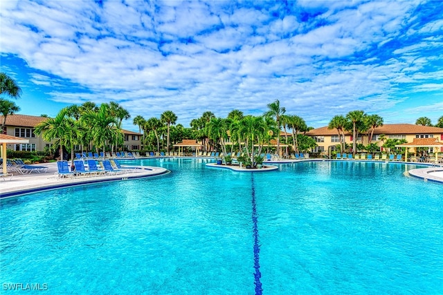 view of pool with a patio