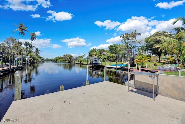 dock area with a water view