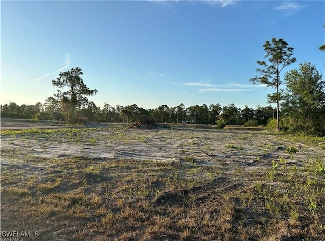 1103 Antonio St E, Lehigh Acres FL, 33974 land for sale